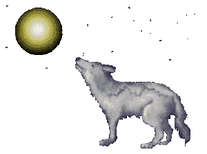 .::Fox Wolfs::.